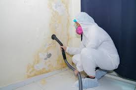 Best Mold Remediation for Healthcare Facilities in Dale City, VA